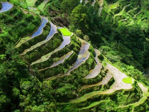 Banaue 300X225