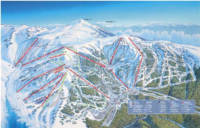 Falls Creek Piste Map Thumb