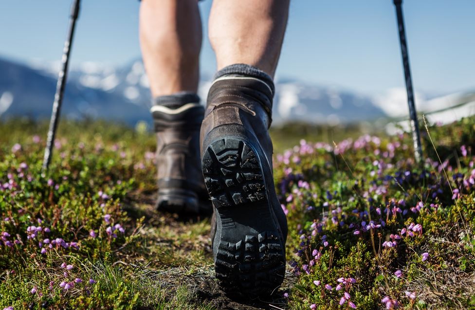 Hiking