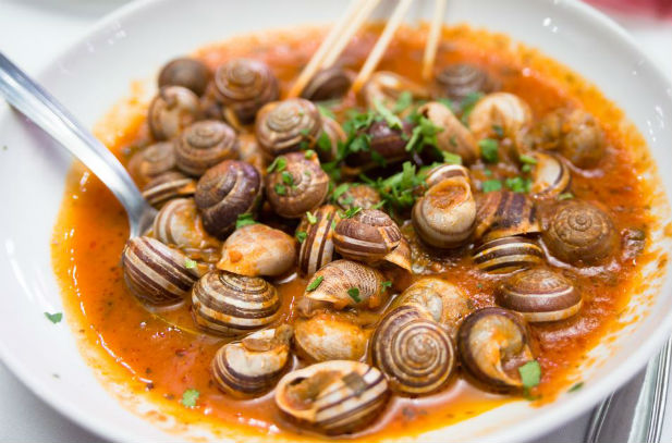 Snails