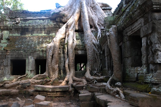 cambodia ancients structure