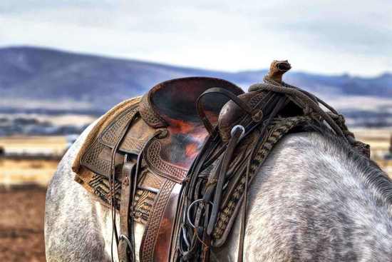 Look out for stables that offer horse rides around the local area